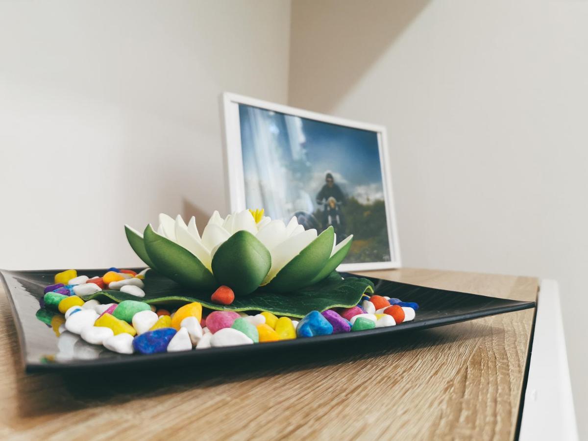 Cozy Corner Apartments - Free Parking & Wi-Fi Ćuprija 외부 사진